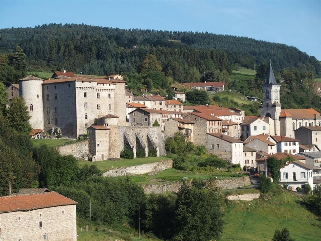 Château des Marcilly Talaru Chalmazel-Jeansagniere Exterior foto